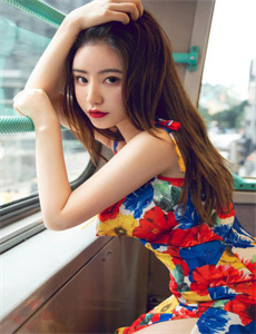贼公子