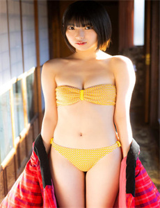 野花香电视剧全集免费观看高清-青楼十二房完整版